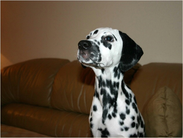 und jetzt noch ein H�ubchen...